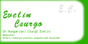 evelin csurgo business card